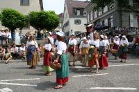 IMG_6537 (2) 